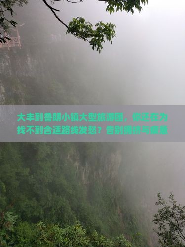 大丰到西藏鲁朗小镇大型旅游团