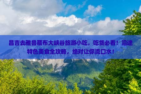昌吉去西藏雅鲁藏布大峡谷旅游小吃