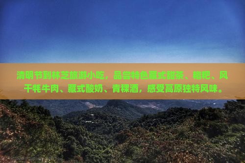 清明节到西藏林芝旅游小吃
