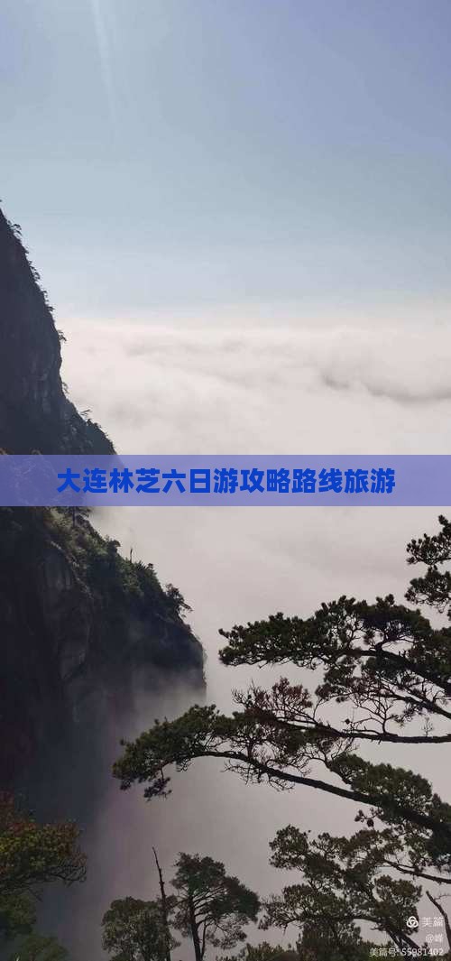 大连去西藏林芝六日游