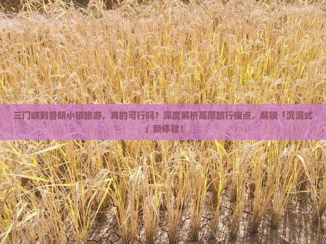 三门峡到西藏鲁朗小镇旅游