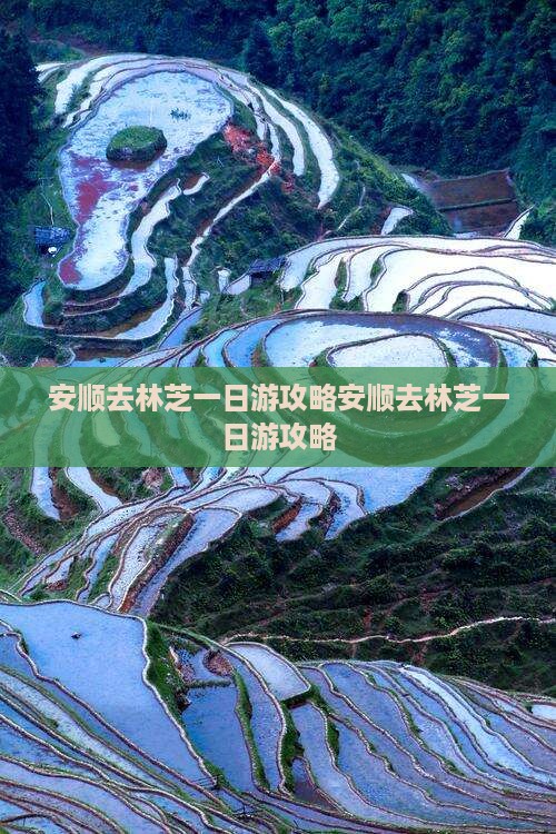 安顺去西藏林芝一日