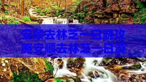 安顺去西藏林芝一日