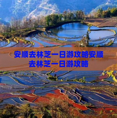 安顺去西藏林芝一日