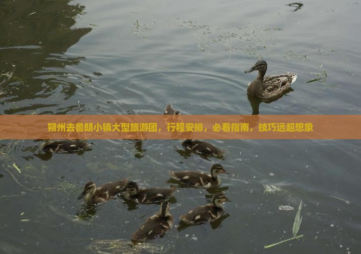 朔州去西藏鲁朗小镇大型旅游团