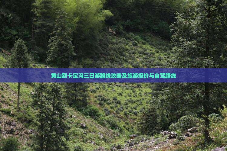 黄山到西藏卡定沟三日游