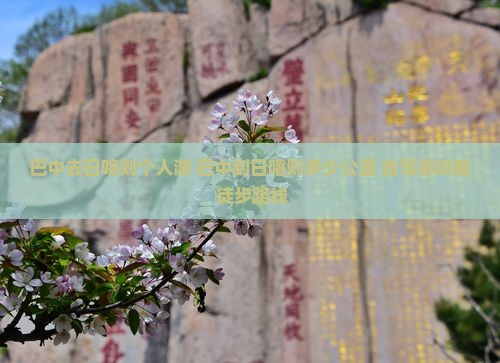 巴中去西藏日喀则个人游