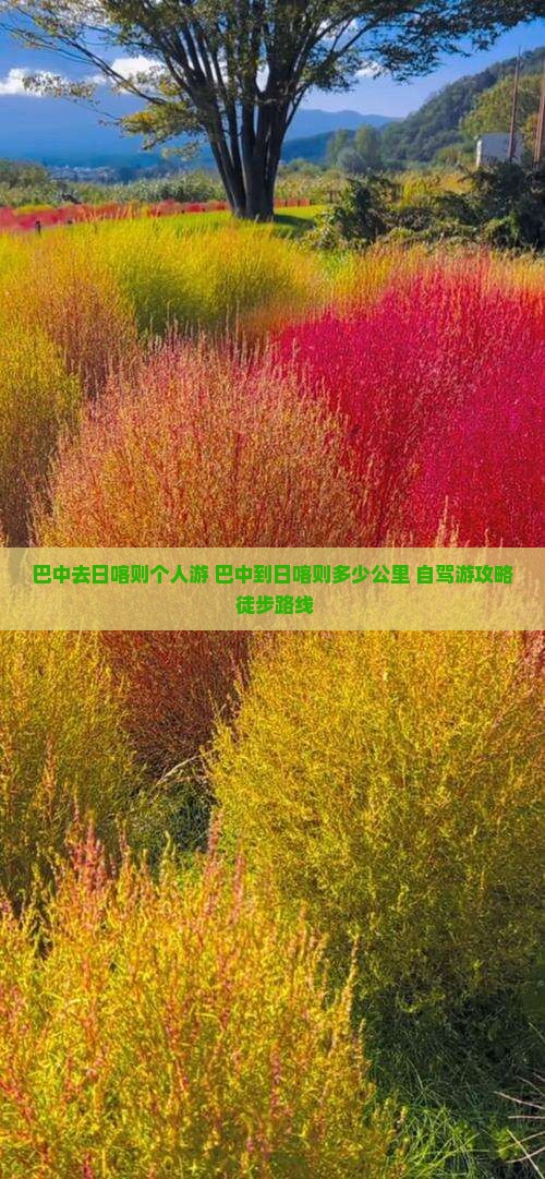 巴中去西藏日喀则个人游