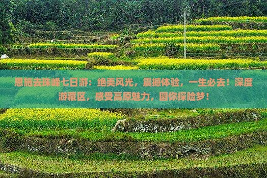 恩施去西藏珠峰大本营七日游