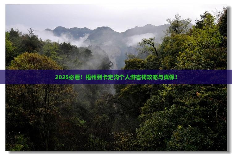 梧州到西藏卡定沟个人游