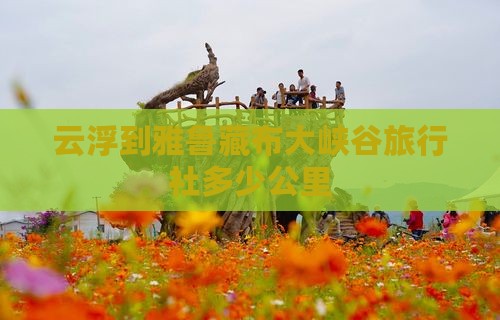 云浮到西藏雅鲁藏布大峡谷旅行社