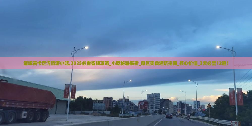 诸城去西藏卡定沟旅游小吃