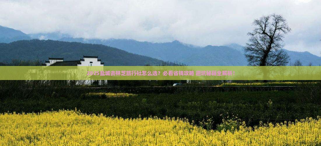 盐城去西藏林芝旅行社