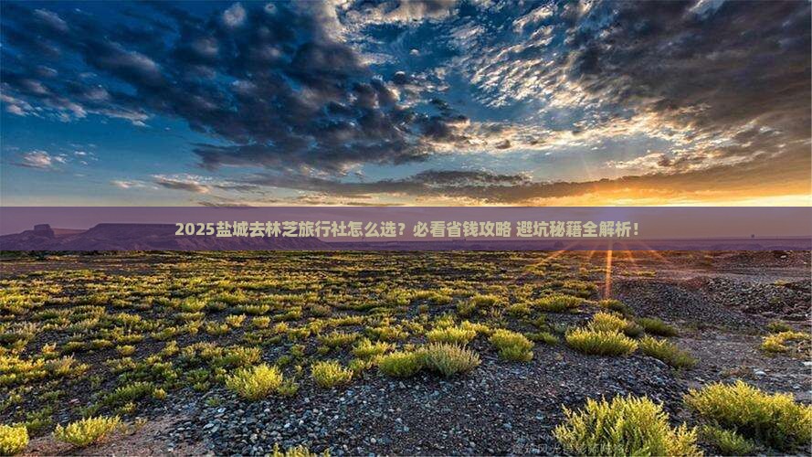 盐城去西藏林芝旅行社
