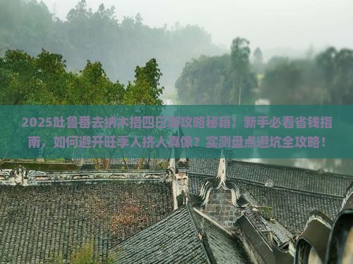吐鲁番去西藏纳木措四日游
