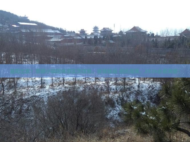 益阳去西藏鲁朗小镇团体旅游