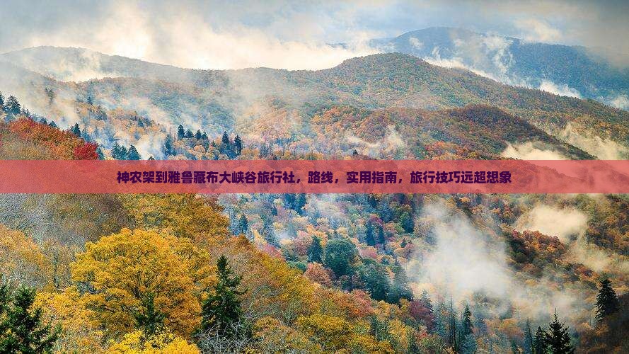 神农架到西藏雅鲁藏布大峡谷旅行社