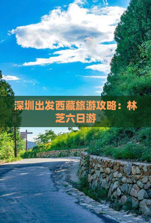 深圳到西藏林芝六日游