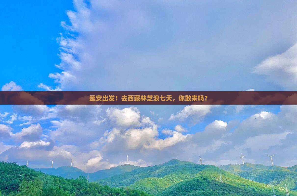 延安去西藏林芝七日游