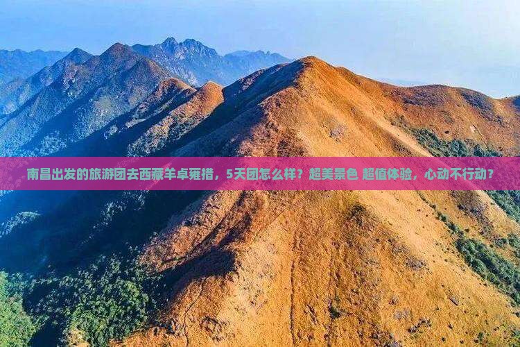南昌去西藏羊卓雍措大型旅游团