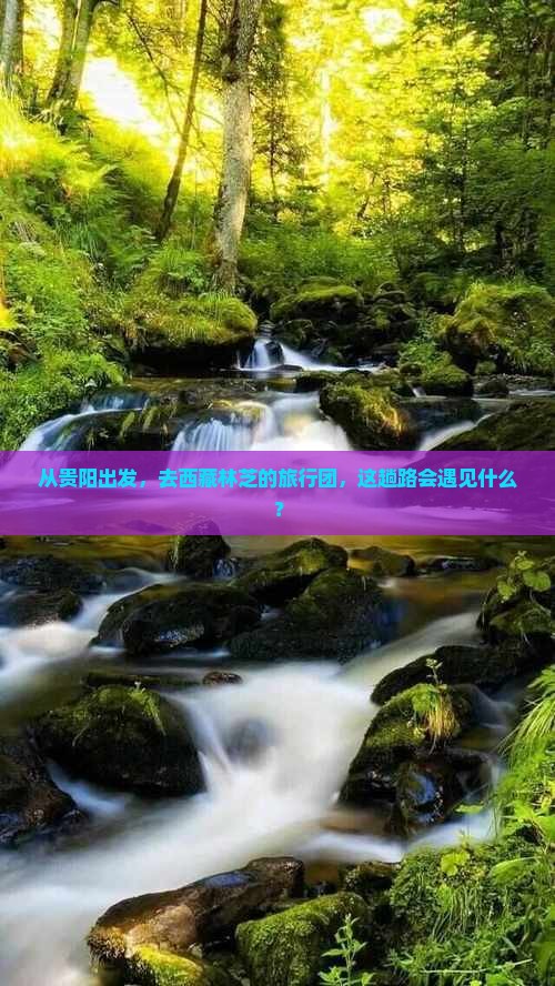 贵阳去西藏林芝大型旅游团