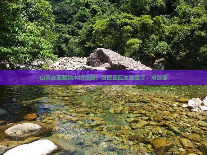 山南去西藏纳木措旅游