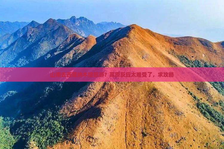 山南去西藏纳木措旅游