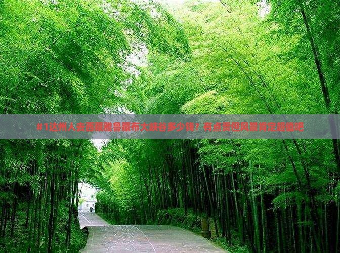 达州到西藏雅鲁藏布大峡谷门票