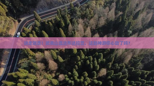 武夷山到西藏布达拉宫旅游