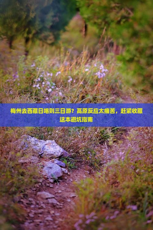梅州去西藏日喀则三日游