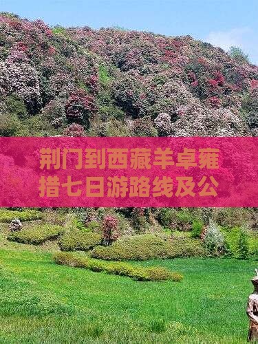 荆门到西藏羊卓雍措七日游