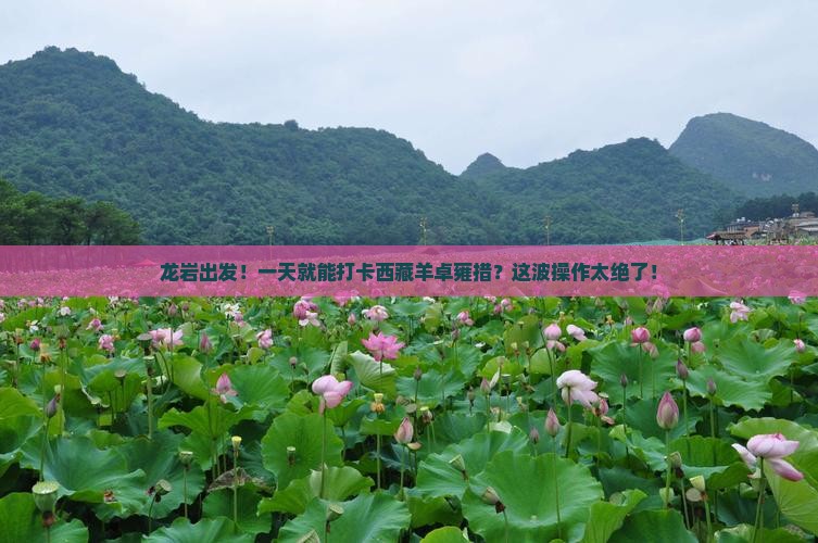 龙岩去西藏羊卓雍措一日