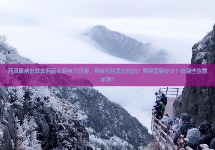 西双版纳去西藏大昭寺六日游