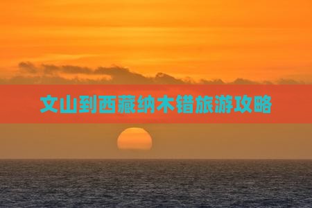 文山去西藏纳木措自由行
