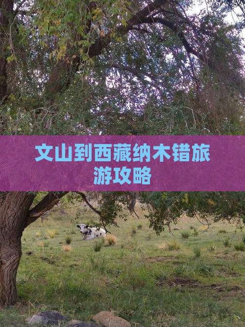 文山去西藏纳木措自由行