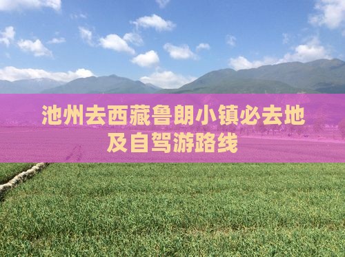 池州去西藏鲁朗小镇必去地