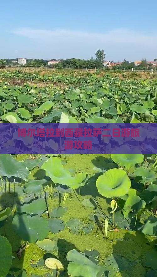 博尔塔拉去西藏拉萨二日游