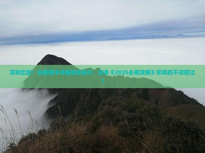 深圳去西藏羊卓雍措自由行
