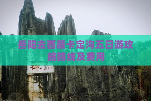 岳阳去西藏卡定沟五日游