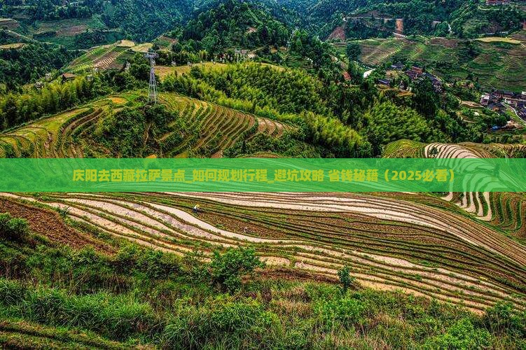 庆阳去西藏拉萨景点
