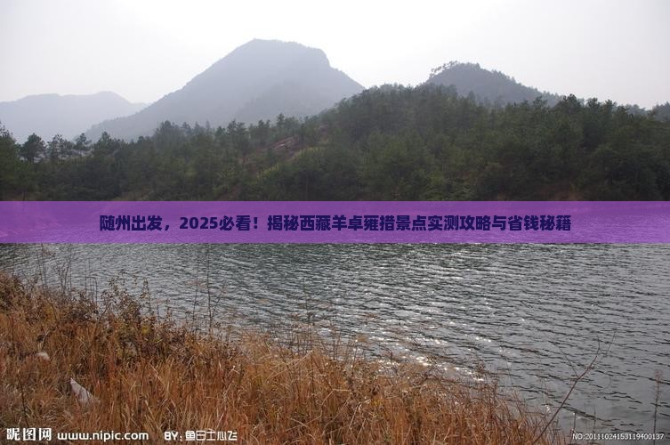 随州到西藏羊卓雍措景点