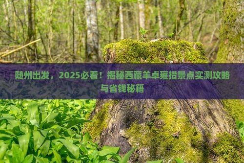 随州到西藏羊卓雍措景点