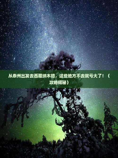 泰州去西藏纳木措必去地
