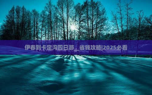 伊春到西藏卡定沟四日游