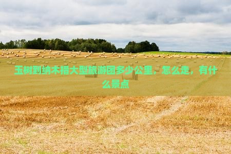 玉树到西藏纳木措大型旅游团
