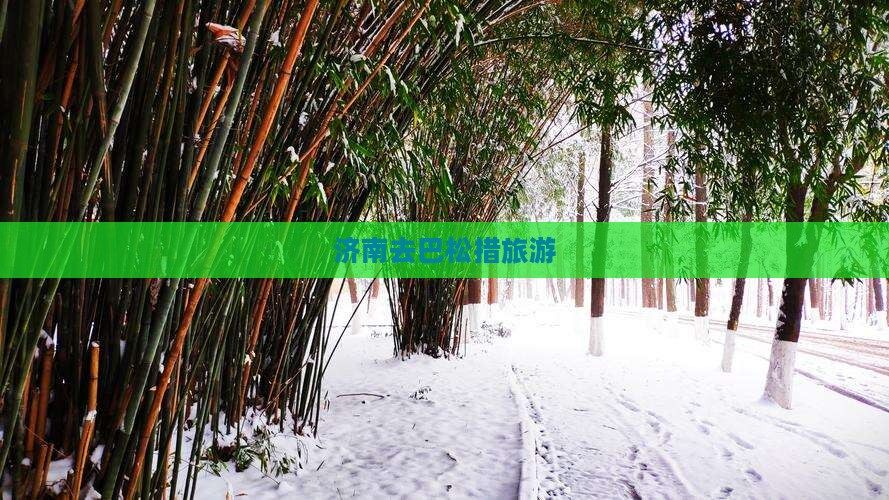 济南去西藏巴松措景点