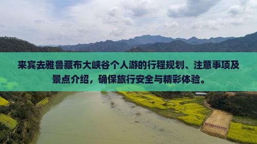 来宾去西藏雅鲁藏布大峡谷个人游