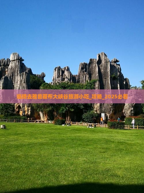 临猗去西藏雅鲁藏布大峡谷旅游小吃