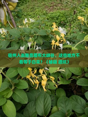 宿州去西藏雅鲁藏布大峡谷必去地