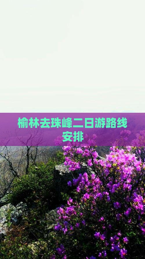榆林去西藏珠峰大本营二日游